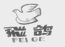 飞鸽