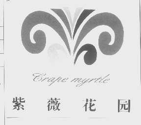 紫薇   GRARE MYRTLE