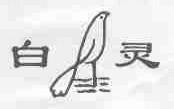 白灵