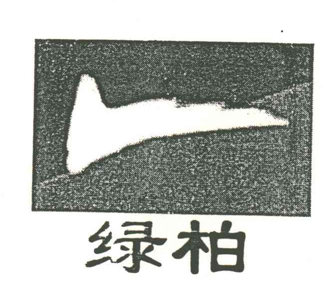 绿柏