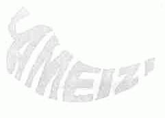 AMEIZI