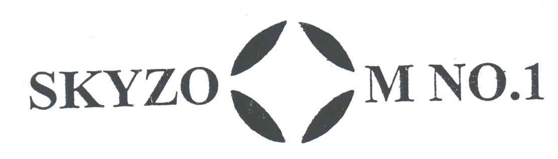 SKYZOOM；NO.1