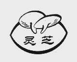 灵芝