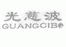光慈波