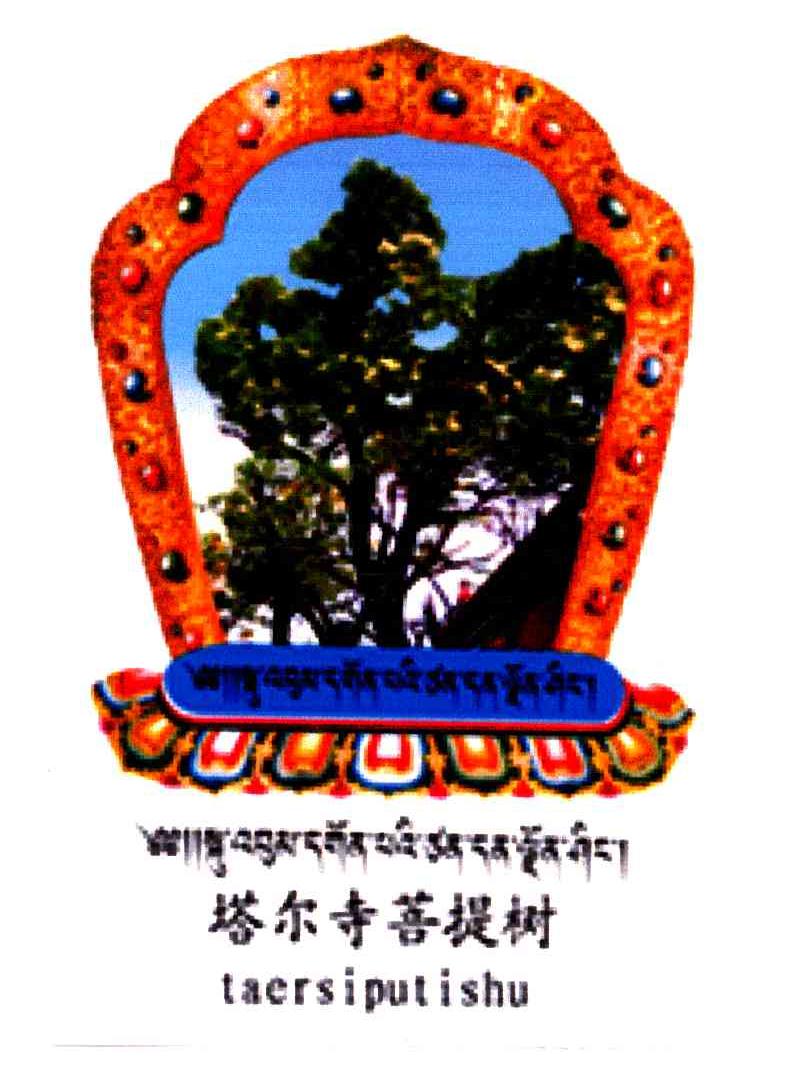 塔尔寺菩提树;TAERSIPUTISHU