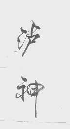 泸神