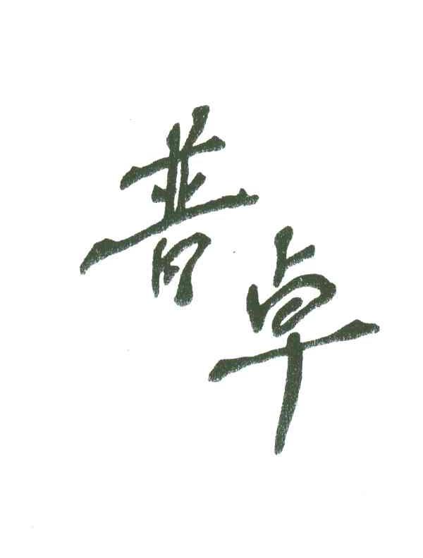 普卓