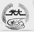 光大