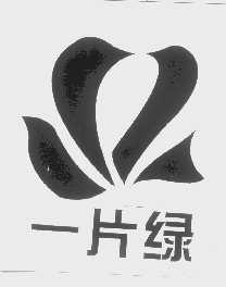 一片绿