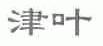 津叶