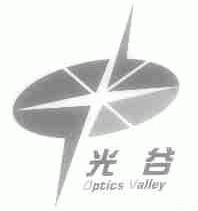 光谷;OPTICS VALLEY