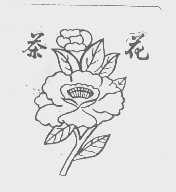 茶花