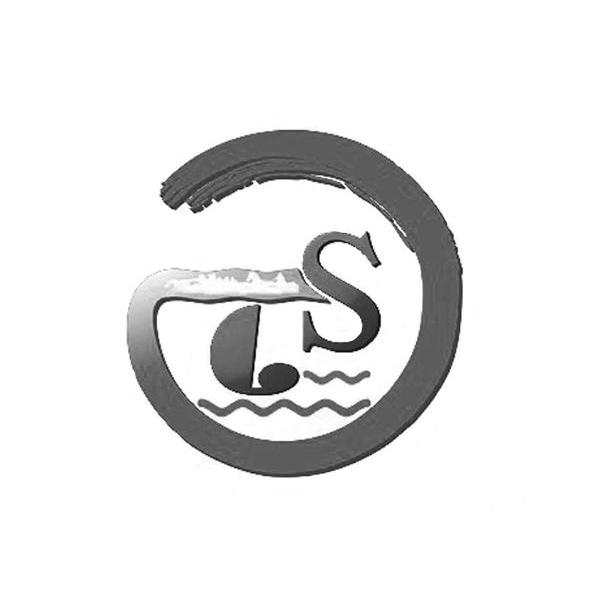 TS