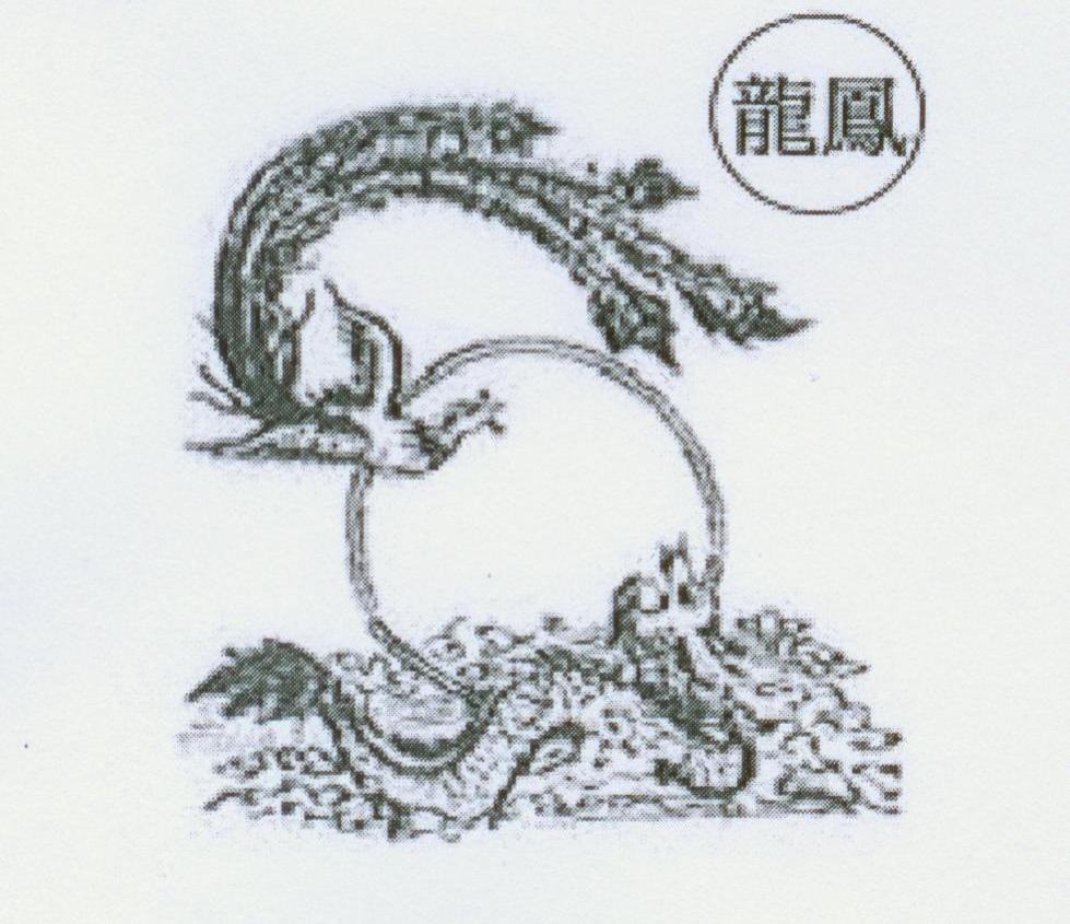 龙凤