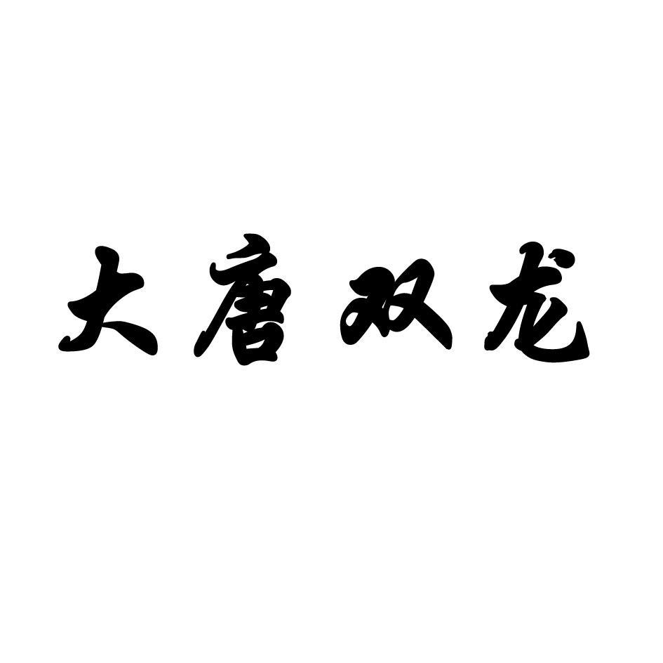 大唐双龙