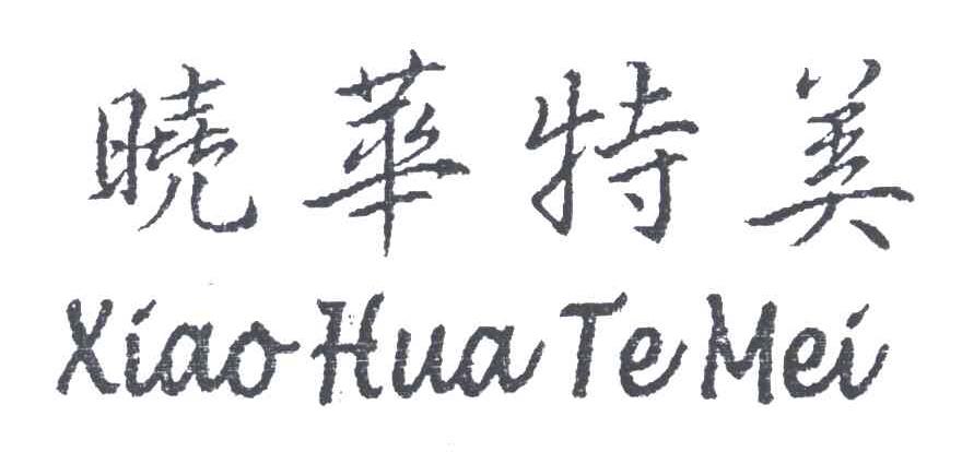 晓华特美