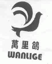 万里鸽