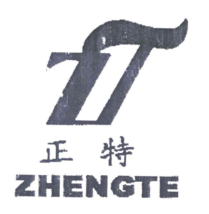 正特