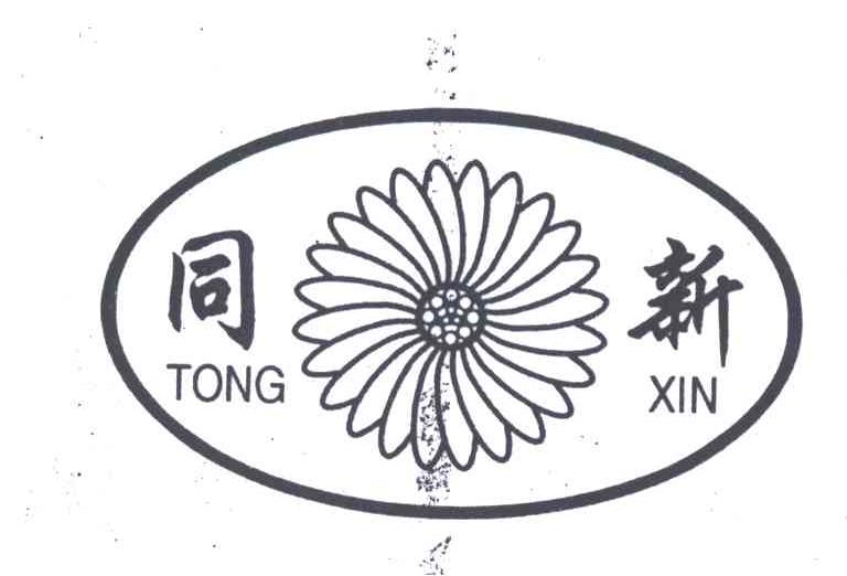 同新;TONG XIN