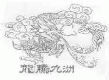龙腾九洲