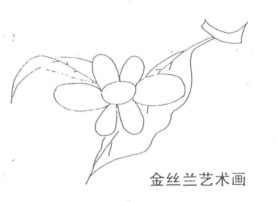 金丝兰艺术画