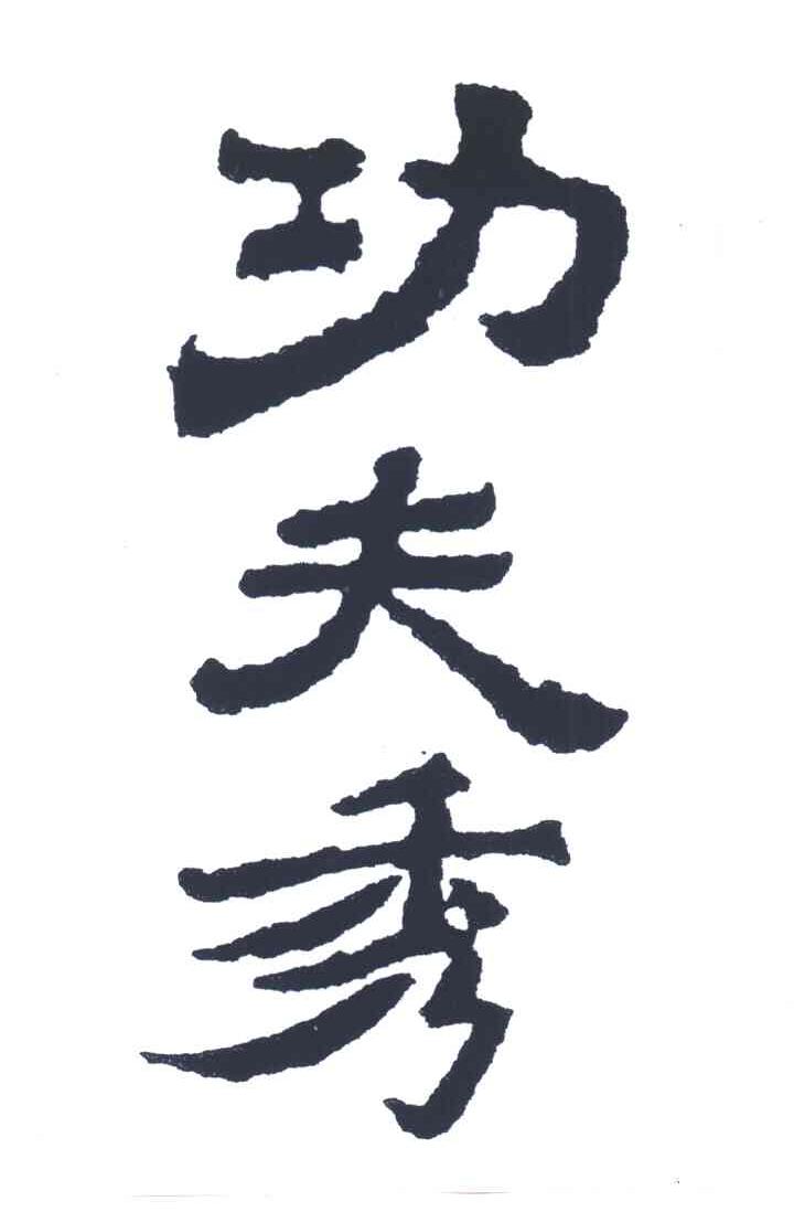 功夫秀
