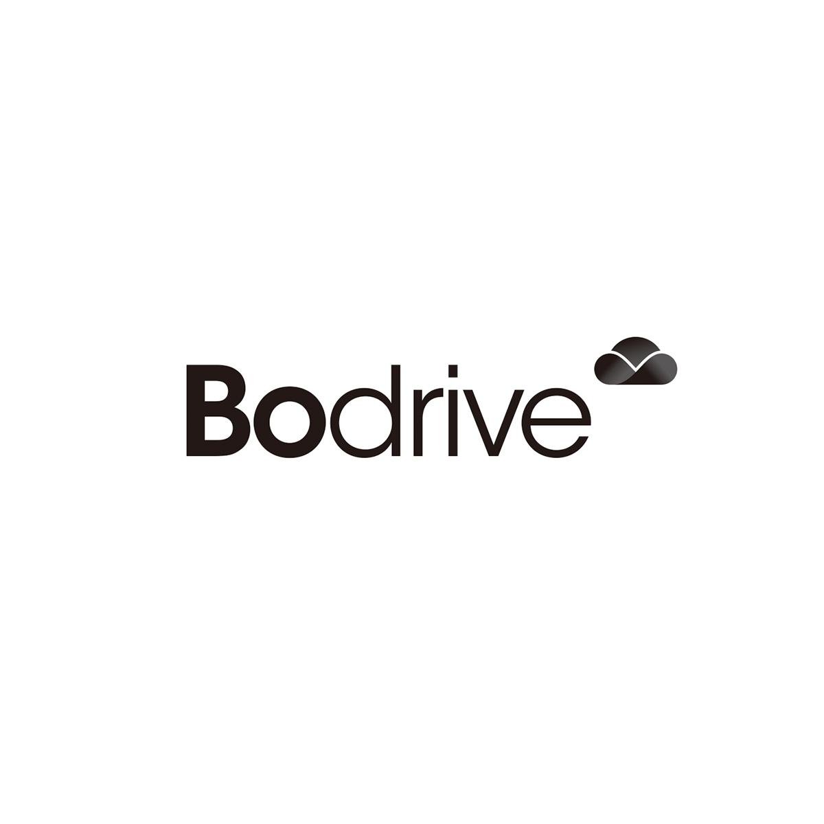 BODRIVE