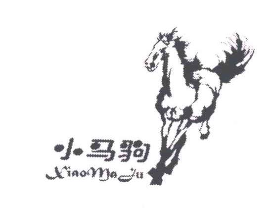 小马驹