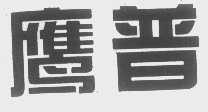 鹰普