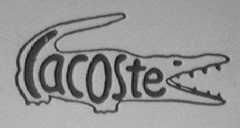 鳄鱼    LACOSTE