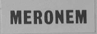MERONEM