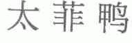 太菲鸭