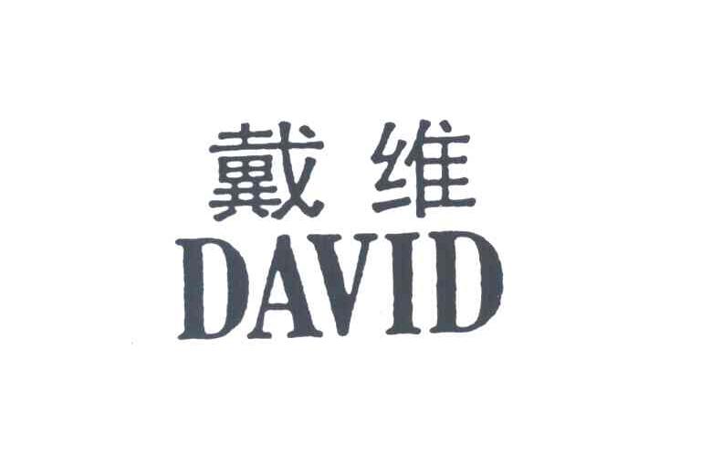 戴维DAVID
