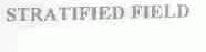 STRATIFIED FIELD