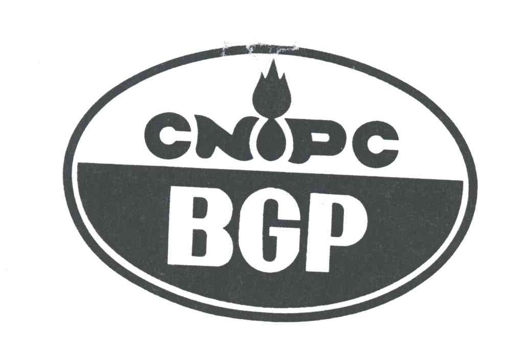 CNIPC BGP