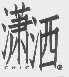 潇洒月刊   CHIC