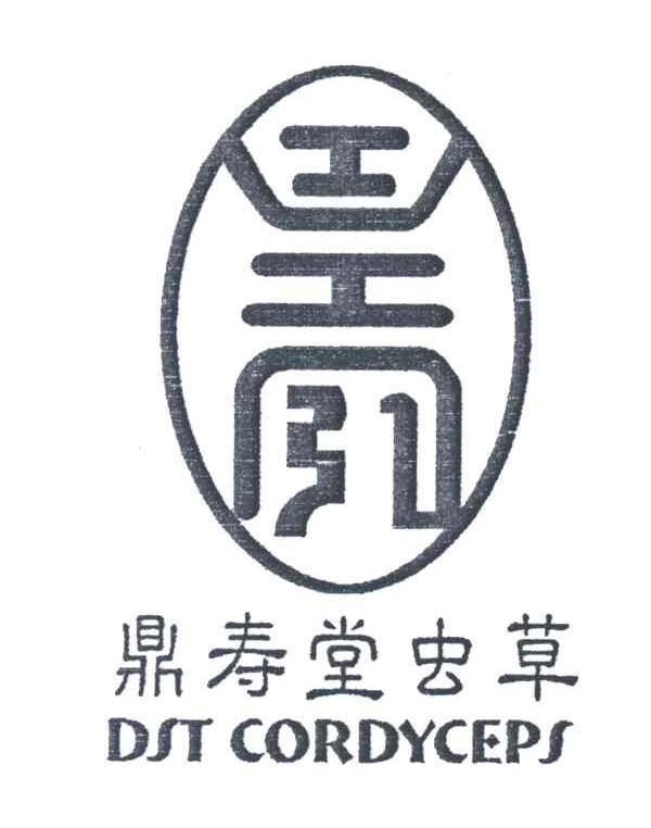 鼎寿堂虫草;DST CORDYCEPS
