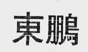 东鹏