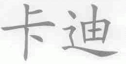 卡迪