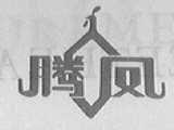 腾凤