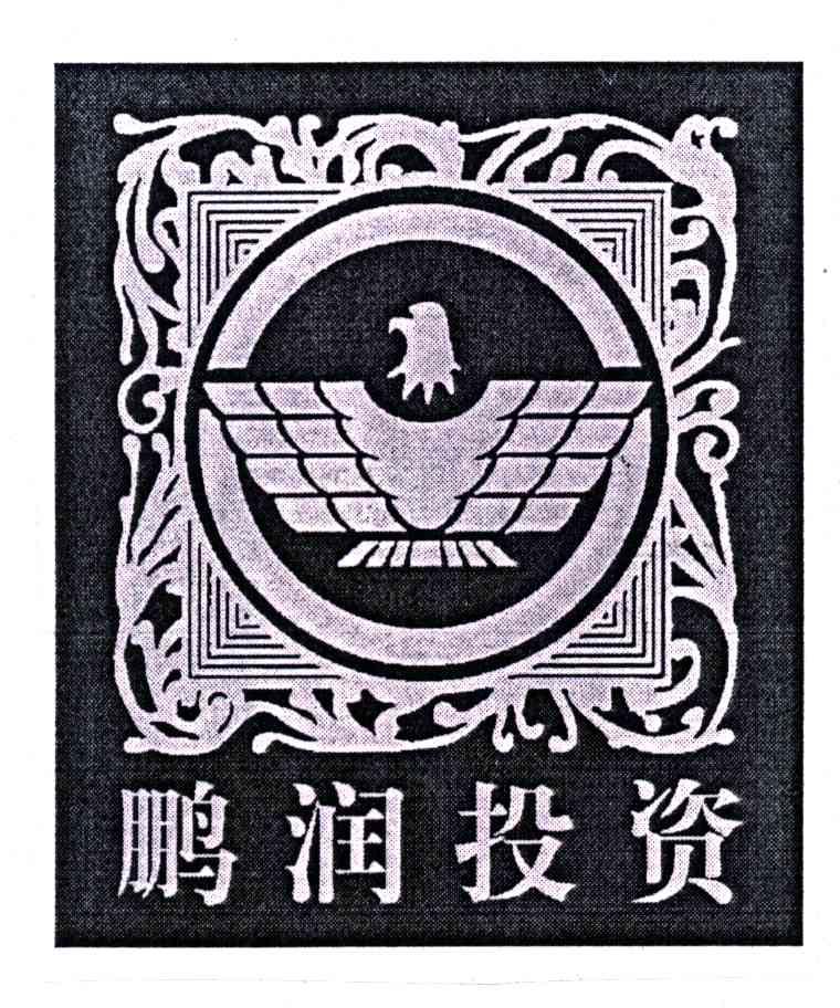 鹏润投资