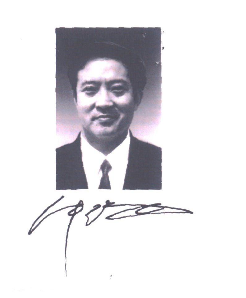 牛群