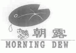 朝露;MORNING DEW