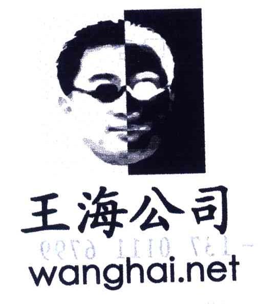 王海公司;WANGHAI.NET