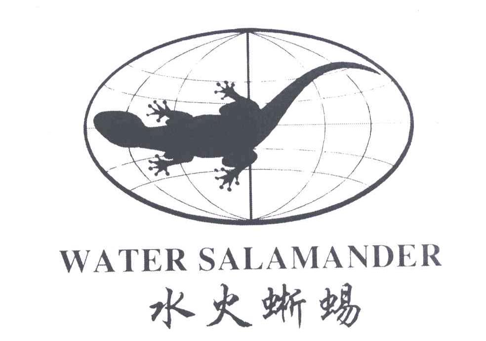 WATER SALAMANDER;水火蜥蜴