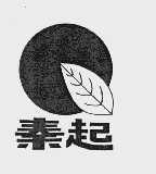 秦起