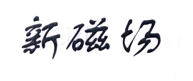 新磁场