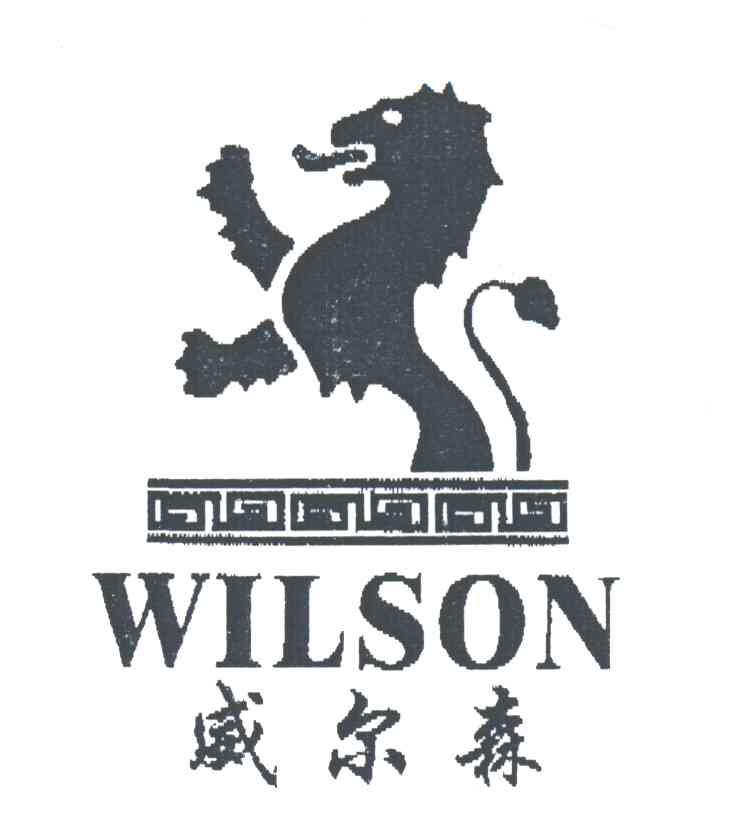 威尔森;WILSON