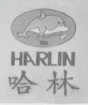 哈林    HARLIN