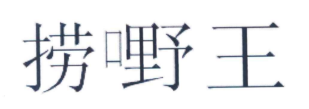 捞嘢王